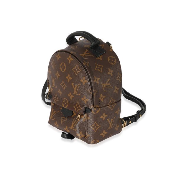 Louis Vuitton Monogram Canvas Mini Palm Springs - Picture 2 of 7